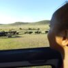 Masai Mara National Reserve - Dee's Seaside Travels